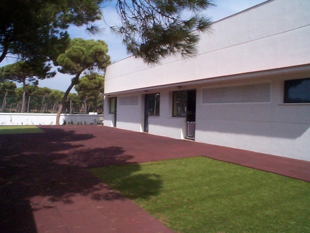 Amplio patio trasero